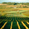 Rn-Frankreich - Bergerac - Rosé - Chateau Belingard 2021er