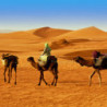 Tunesien - Boukha Gold - Feigen-Destillat -  Habib