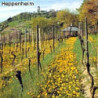 Bergstrasse - Lieblicher Riesling - WG Heppenheim 2024er