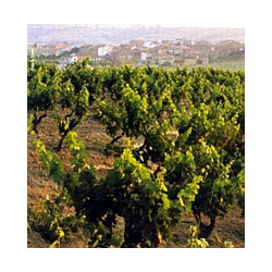 Rn-Rioja - Faustino -  Reserva 2016er