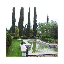 Tunesien - Boukha Gold - Feigen-Destillat -  Habib