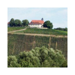 Franken - Ritter Zahony Silvaner Liter Trocken 2025er