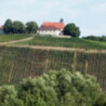 Franken - Ritter Zahony Silvaner Liter Trocken 2025er