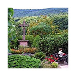 Pfalz - EDE - Rosee-Spätburgunder Trocken 2022er