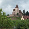 Elsass - Pinot Noir Rouge - Cuvée Tradition 2018er