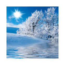 Saison - Sternthaler - Christkindles-Glühwein