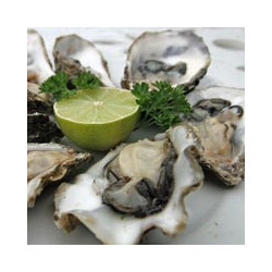 Elsass - ROSEE  Pinot-Noir Tradition 2020er