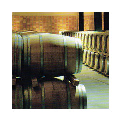 Marche - Cumaro - Rosso Conero - Riserva 2018er