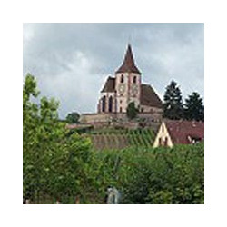 Elsass - Pinot Noir Rouge - Cuvée Tradition 2018er