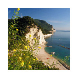 Marche - Cumaro - Rosso Conero - Riserva 2018er