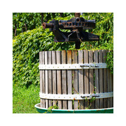 GN - Franken - Silvaner - Weingut Kapraun Grossostheim 2025er