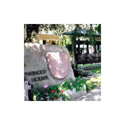 Franken - Rottenberger Gräfenstein Riesling trocken 2023er