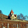 Rheinhessen - Bechtheimer Pilgerpfad 2024er