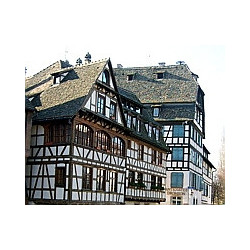 Elsass - Riesling Tradition - d-Alsace 0,75  l 2019er