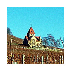 Rheinhessen - Bechtheimer Pilgerpfad 2024er