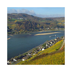 Rheinhessen - Bechtheimer Pilgerpfad 2024er