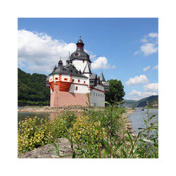 Rheinhessen - Oppenheimer Krötenbrunnen 2024er