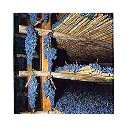 Veneto - Amarone della Valpolicella del Consorzio 2020er