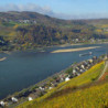 Rheinhessen - Bechtheimer Pilgerpfad 2024er