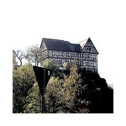 Beerencocktail - LILLY-BERRY - Alkoholfrei