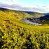 Mosel - Bernkastler Kurfürstlay Riesling Ltr 2024er