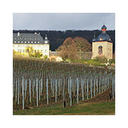 Rheingau - Riesling - Volratz 1573  - Trocken 2024er