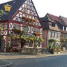 Rn-Franken - Abtswind Behringers - Sauguter 2021er