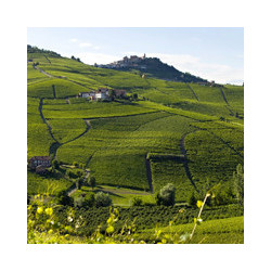 Piemont - Roero Arneis - Weingut Batasiolo 2018er