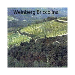 Piemont - GAVI - Monfiore 2024er