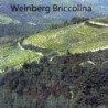 Rn-Piemont - GAVI - Monfiore 2024er