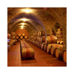 Toskana - Nobile de Montepulciano 2022er