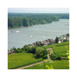 Rheinhessen - Bechtheimer Pilgerpfad 2024er