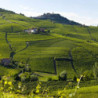 Rn-Piemont - Roero Arneis - Weingut Batasiolo 2022er