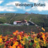 Rn-Piemont - Roero Arneis - Weingut Batasiolo 2022er