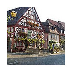 Franken - Abtswind Behringers - Sauguter 2021er