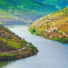Portugal - DELAFORCE - Roter Portwein