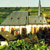 Rheinhessen - Dornfelder Trocken 0,75 2023er