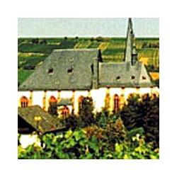 Rheinhessen - Dornfelder Trocken 0,75 2023er