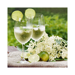 Saison - HUGO - Holunder+ Minze 0,75