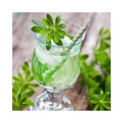 Saison - HUGO - Holunder+ Minze 0,75