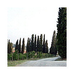 Toskana - Chianti  Riserva Badiolo 2016er