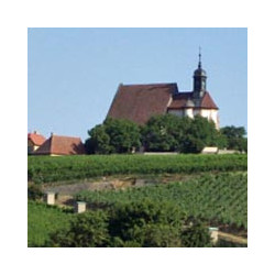 Franken - Rotling- Braun-Fahr- Flink 2024er
