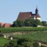 Franken - Rotling- Braun-Fahr- Flink 2024er