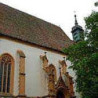 Franken - Rotling- Braun-Fahr- Flink 2024er