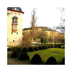 Rheingau - Riesling - Volratz 1573  - Trocken 2021er