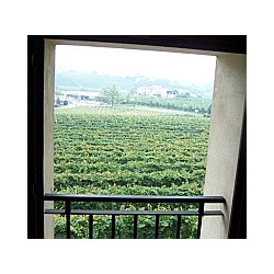 Franken - Silvaner Trocken - Grossostheimer 2025er