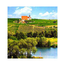 Rheinhessen - Dornfelder Trocken 0,75 2023er