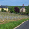 Rheingau - Riesling - Volratz 1573  - Trocken 2021er