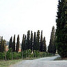 Rn-Toskana - Chianti - Badiolo 2018er