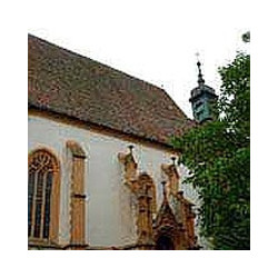 Franken - Rotling- Braun-Fahr- Flink 2023er